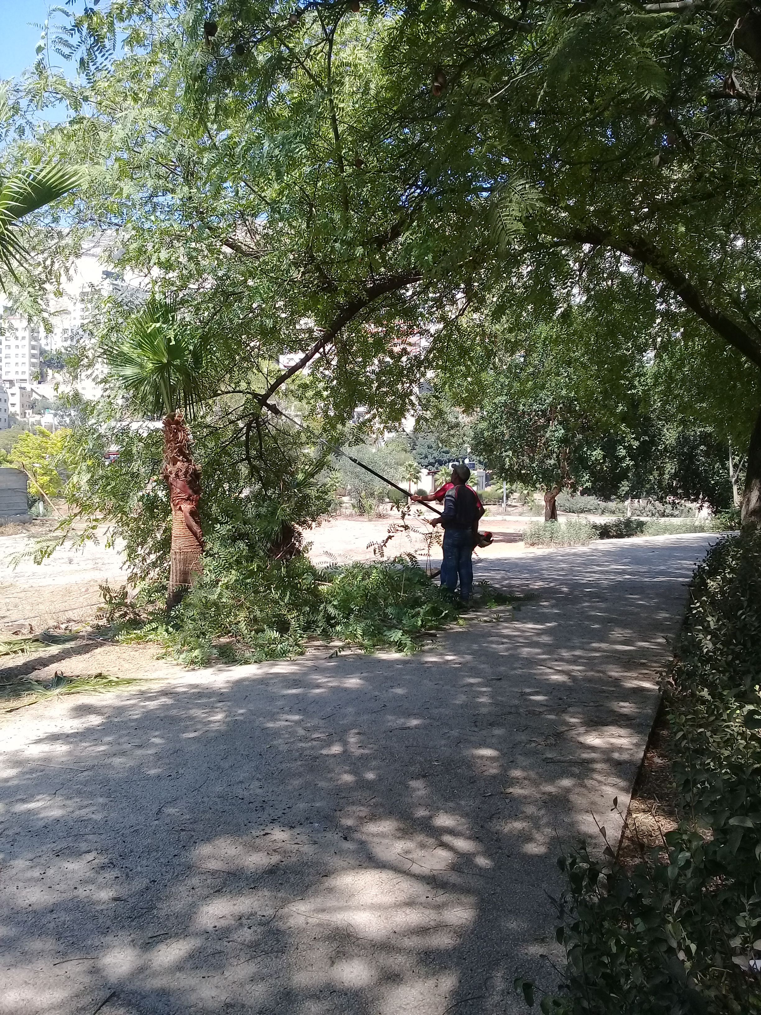 ٢٠١٨٠٩٠٤ ١٤١٥٥٦